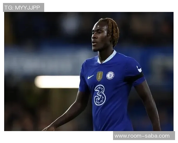 马洛塔分析意甲海外赛的挑战与经济影响的重要性